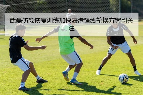 武磊伤愈恢复训练加快海港锋线轮换方案引关注